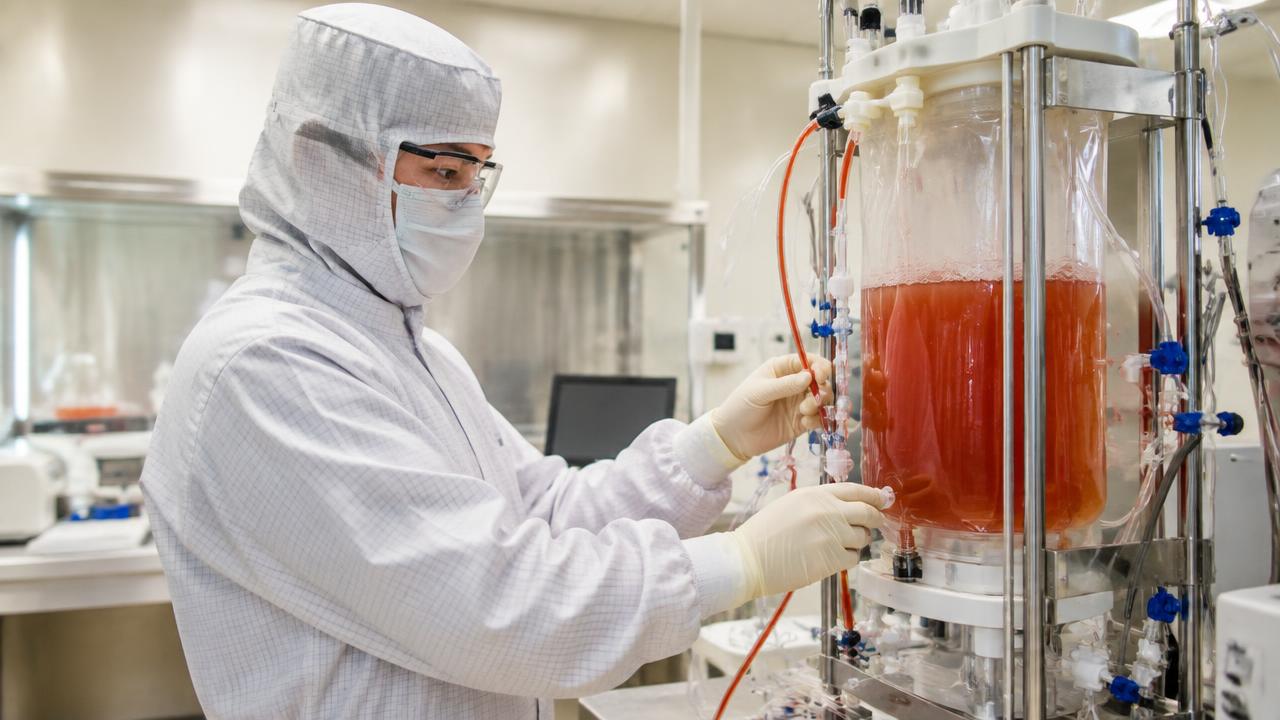150 Patients and Counting: How CAR-T Cell Therapy Is Expanding Across Ireland